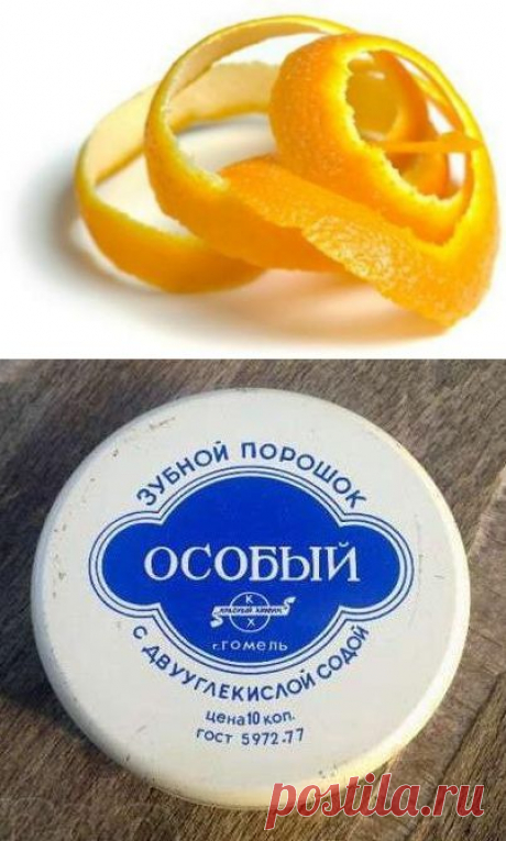 ПОЛЕЗНЫЕ СОВЕТЫ САДОВОДАМ | ДОМАШНИЙ ОЧАГ