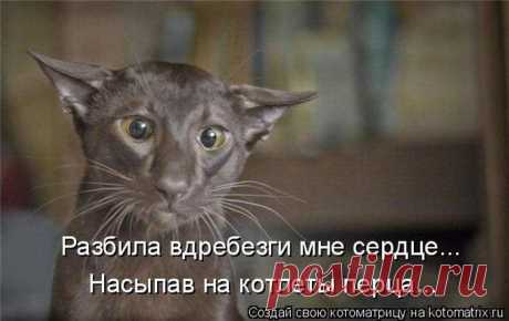 Ох и хозяйка....