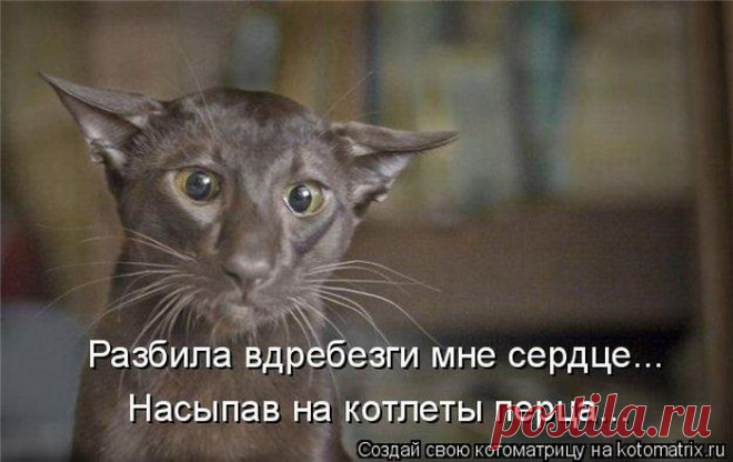 Ох и хозяйка....