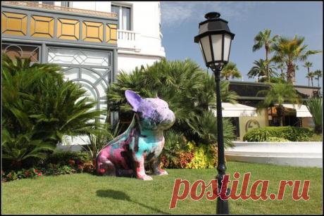 Лазурный берег, Канны. | Фотографии Светлана Верхошинская | 8083 фото