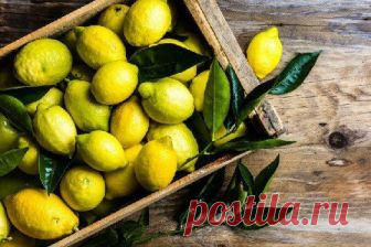 Чем полезен лимон и 5 причин кушать лимоны каждый день Всем привет! 5 причин кушать лимоны каждый день в нашем материале. Лимоны не только помогают справиться с простудой, кашлем и болью в горле.