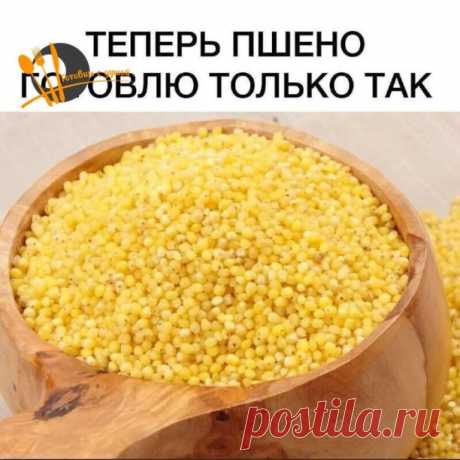 ПШЕНО: СЕКРЕТЫ ПРИГОТОВЛЕНИЯ

 Ингредиенты:
1 стакан пшенной крупы
3 стакана воды
50 г сливочного масла
сахар
соль

Секрет № 1. Крупа имеет масла и пыль, которые оседают в выемках каждой крупинки и склеивают крупинки при варке. Наша задача избавиться от этих масел и крупяной пыли. Как же это сделать? Нужно промыть крупу кипятком. Как делаю я? Насыпаю 1 стакан крупы в кастрюльку и наливаю 1 стакан воды. Довожу до кипения. Выливаю крупу с кипятком в сито и хорошо промываю...