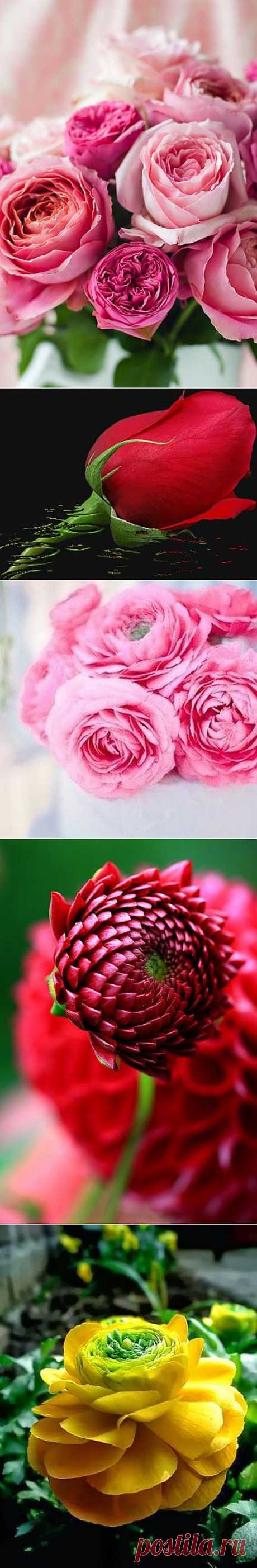 AşK KOKUM – Google+