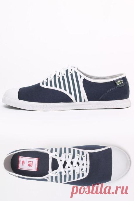 Купить Кеды Lacoste LEM0100121 БЕЛЫЙ, ТЕМНО-СИНИЙ со скидкой в интернет-магазине kupivip.ru - распродажа