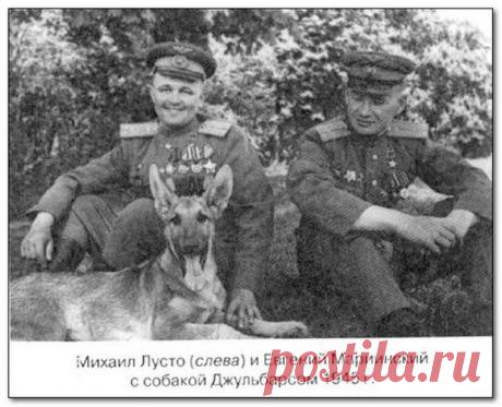 Овчарка Джульбарс - собака-герой войны.