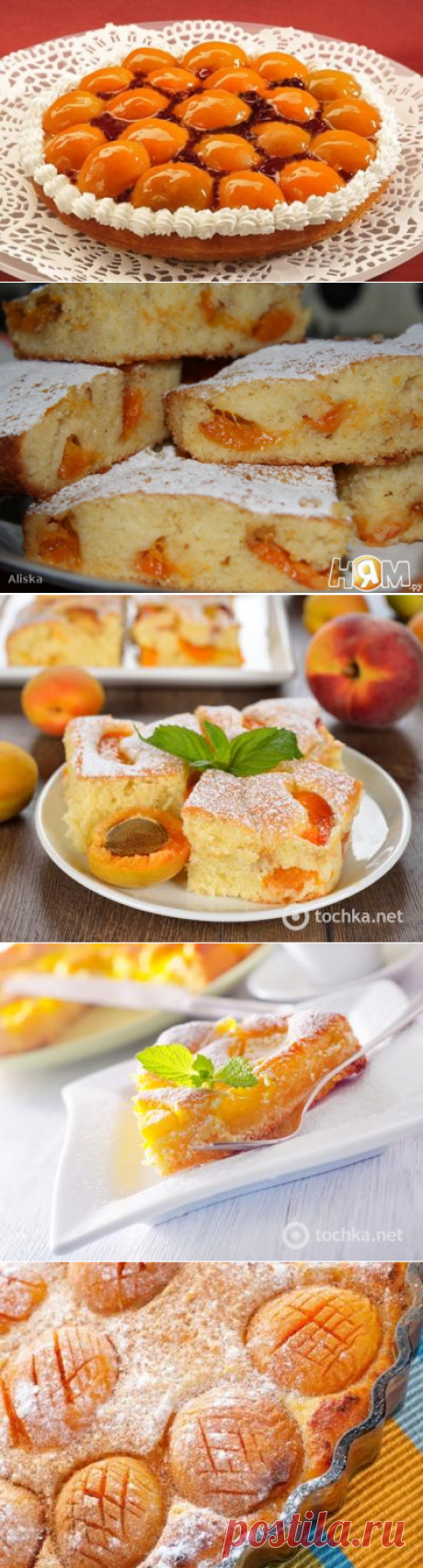 6 РЕЦЕПТОВ ВКУСНЫХ ПИРОГОВ С АБРИКОСАМИ