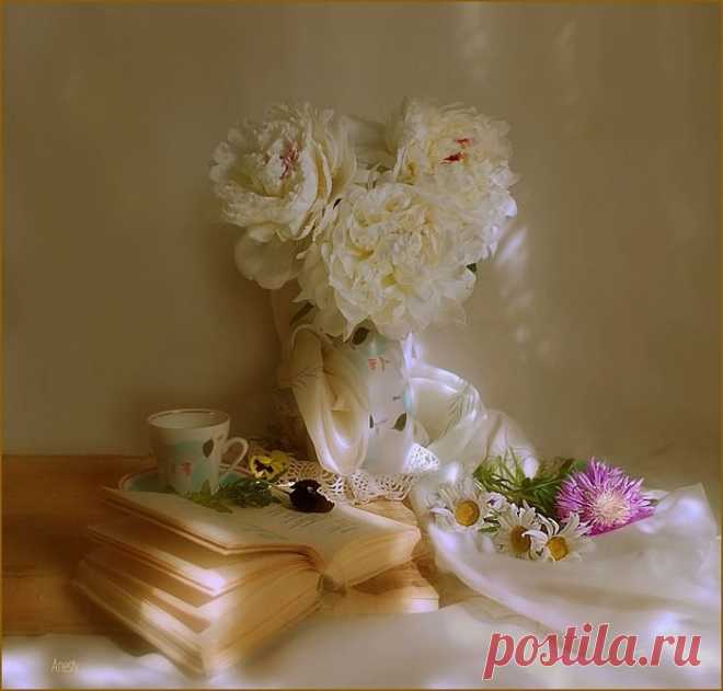 Мой Мир@Mail.Ru