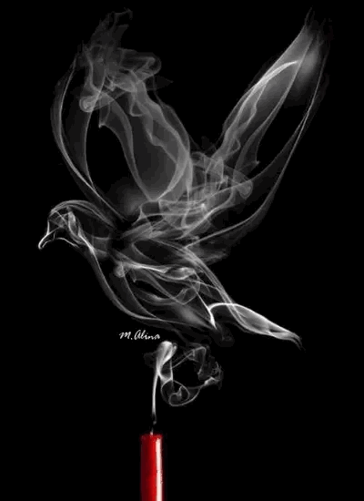 Pour Le Plaisir Des Yeux