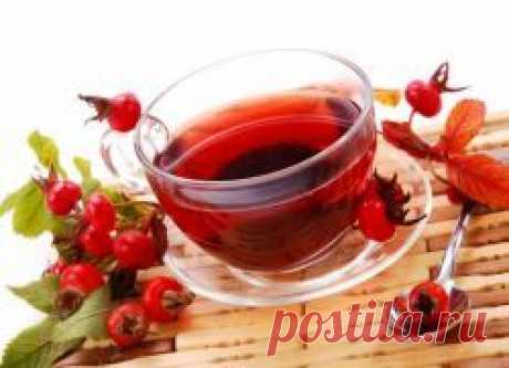 Похудеть с холосасом – вполне реально! — Диеты со всего света