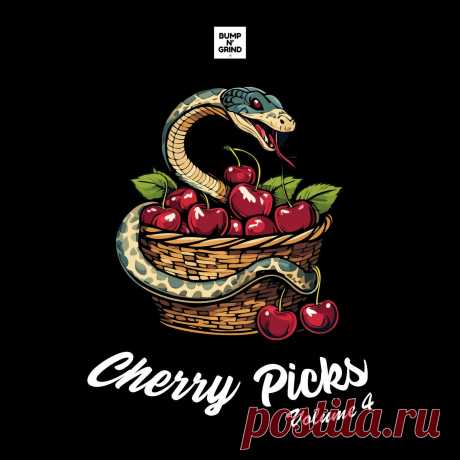 VA - Cherry Picks Volume 4 BNG093 » MinimalFreaks.co