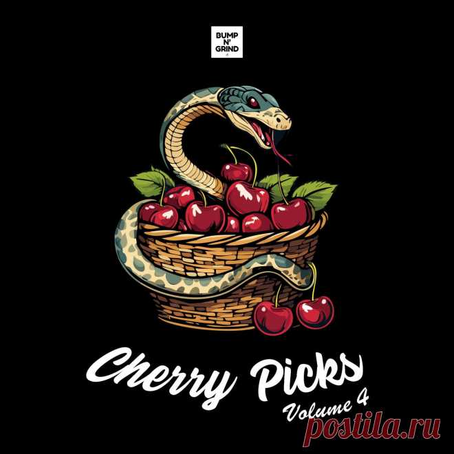 VA - Cherry Picks Volume 4 BNG093 » MinimalFreaks.co