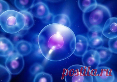 Некоторые болезни способны нарушать регенеративные процессы. .
