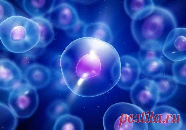 Некоторые болезни способны нарушать регенеративные процессы. .