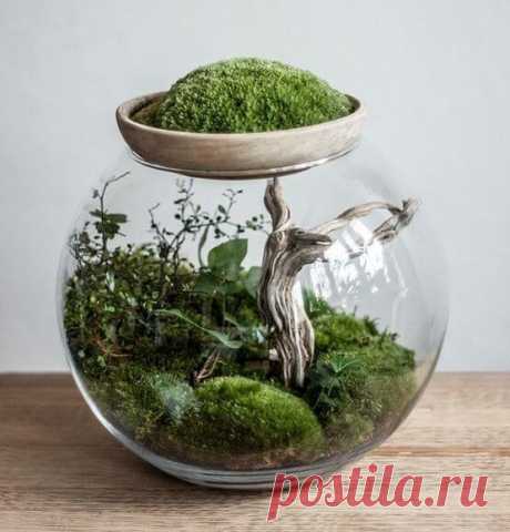 Цветы в колбе. Флорариум. Террариум. ~ ALL-DEKOR