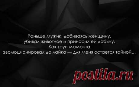Прямо в точку: интересные цитаты