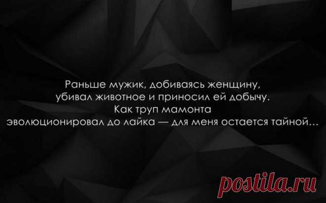 Прямо в точку: интересные цитаты
