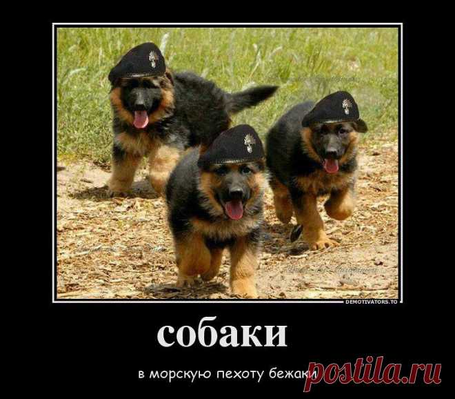 Марина
