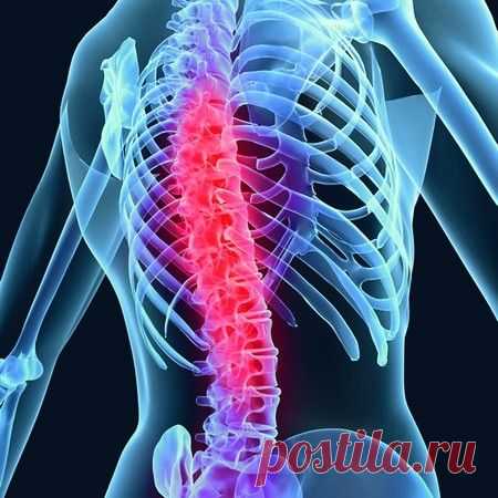 Факторы, вызывающие заболевания позвоночника 
Часть людей уже рождаются с недоразвитием костной системы. Некоторые аномалии опорно-двигательного аппарата передаются  по наследству.  Это могут быть разные костные аномалии, отсутствие или, наоборот, избыточное количество суставных отростков, их атипичное расположение. Эти явления могут послужить первопричиной воспалительных и дегенеративных заболеваний позвоночника.  Врожденные заболевания позвоночника сейчас ...