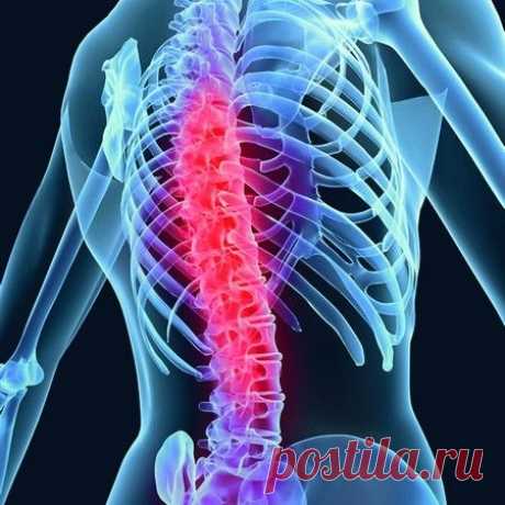 Факторы, вызывающие заболевания позвоночника 
Часть людей уже рождаются с недоразвитием костной системы. Некоторые аномалии опорно-двигательного аппарата передаются  по наследству.  Это могут быть разные костные аномалии, отсутствие или, наоборот, избыточное количество суставных отростков, их атипичное расположение. Эти явления могут послужить первопричиной воспалительных и дегенеративных заболеваний позвоночника.  Врожденные заболевания позвоночника сейчас ...