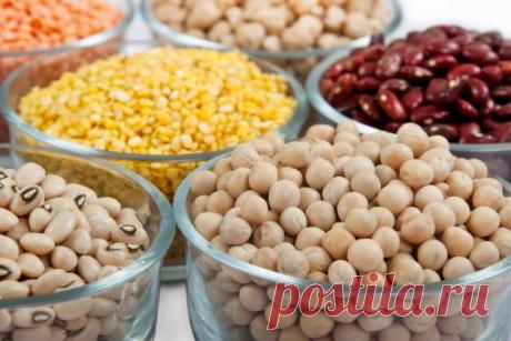 Что приготовить из фасоли, рецепты из фасоли +
