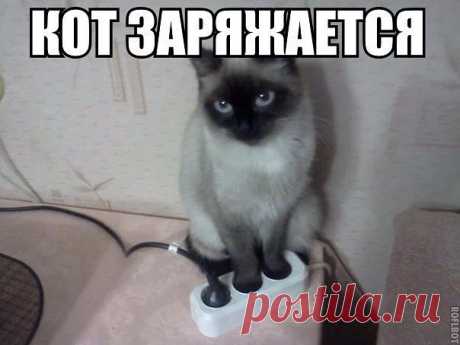 ПОЛНАЯ РЖАКА!
