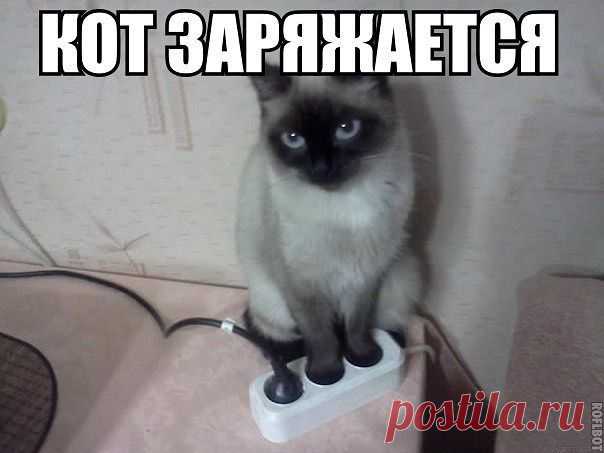 ПОЛНАЯ РЖАКА!