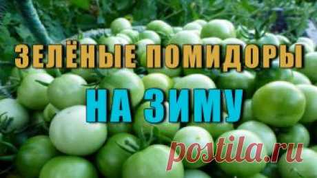 Зеленые Помидоры На Зиму с Уксусом и Горчицей Восхитительно вкусные Зеленые Помидоры На Зиму с Уксусом и Горчицей не оставят никого равнодушным! Зеленые помидоры по такому рецепту ...