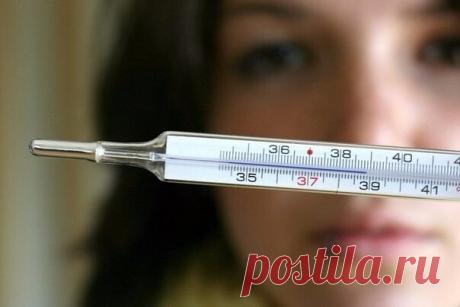 10 СРЕДСТВ ОТ ПРОСТУДЫ 

№1 
При первых признаках простуды разрезать большую свежую луковицу и вдыхать пары лука, повторяя процедуру 3-4 раза в день. 
 
№2. 
Растолочь 100 г чеснока, залить 1 стаканом водки и хорошо взболтать. 1 каплю нанести на язык, подержать во рту, а потом проглотить. Повторять так несколько раз в течение 3-4 дней. 
 
№3. 
Измельчить лимон вместе с кожурой и залить растительным маслом. Смазывать ноздри несколько раз в день. Можно протирать десны до и п...