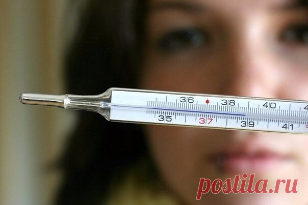 10 СРЕДСТВ ОТ ПРОСТУДЫ 

№1 
При первых признаках простуды разрезать большую свежую луковицу и вдыхать пары лука, повторяя процедуру 3-4 раза в день. 
 
№2. 
Растолочь 100 г чеснока, залить 1 стаканом водки и хорошо взболтать. 1 каплю нанести на язык, подержать во рту, а потом проглотить. Повторять так несколько раз в течение 3-4 дней. 
 
№3. 
Измельчить лимон вместе с кожурой и залить растительным маслом. Смазывать ноздри несколько раз в день. Можно протирать десны до и п...