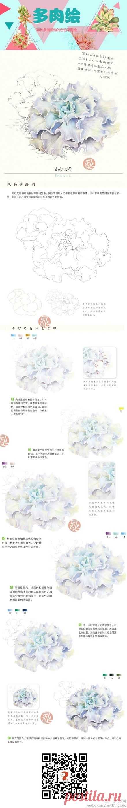 怡大宝采集到花(69图)_花瓣