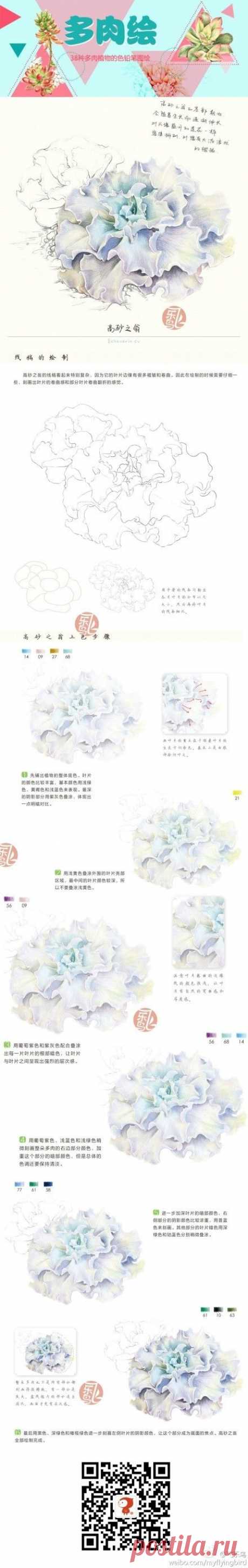 怡大宝采集到花(69图)_花瓣