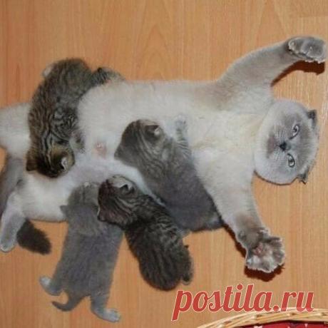 Интересные новости