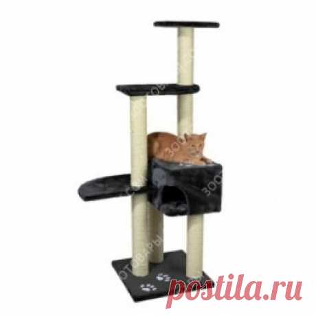 Когтеточка Trixie 4386 Alicante Когтеточка Trixie 4386 Alicante       основание со сторонами 45 x 45 см 2 опоры высотой 40 см и 50 см каждая 1 опора высотой 33 ...