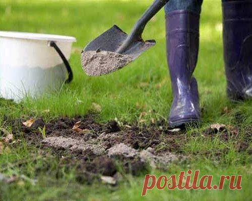 9 ПОЛЕЗНЫХ СВОЙСТВ ЗОЛЫ