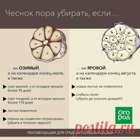 (20+) Facebook
