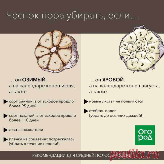 (20+) Facebook