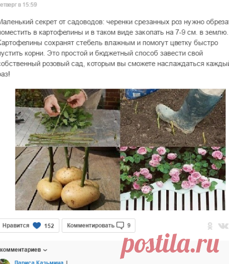 Шедевры рукоделия и дизайна - Группы Мой Мир