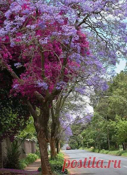 Мой Мир@Mail.Ru