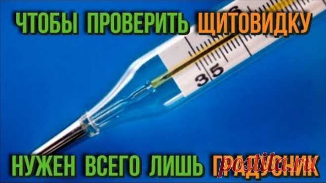 Чтобы проверить свою щитовидку, нужен только градусник Самые полезные советы