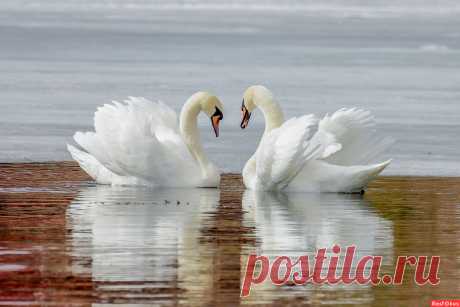 пенсионер Юрий. Природа. Фотосайт Расфокус.ру