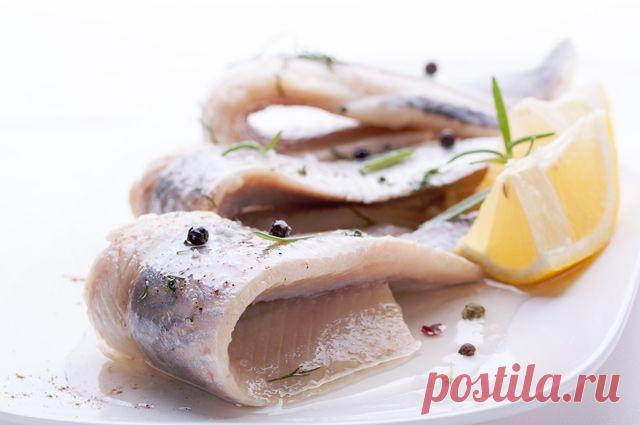 Не только форшмак. Интересные рецепты закусок из сельди