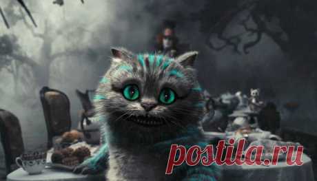 20 премудрых странностей Чеширского кота Потому что все мы немного со странностями.