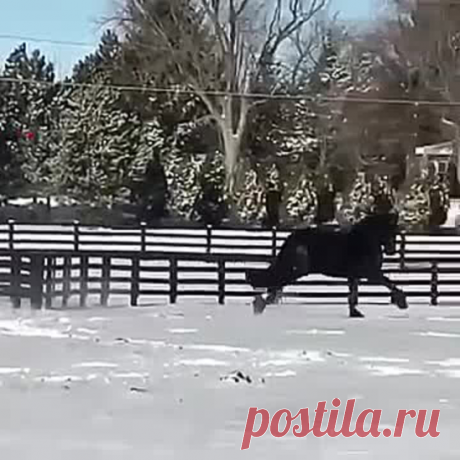 КАКОЙ ЖЕ ОН КРАСАВЧИК..........