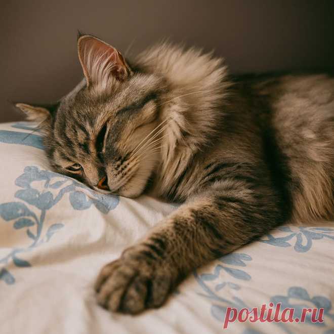 Достоевский - OGADANIE.RU