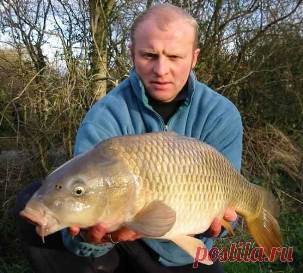 Осенняя ловля карпа на поплавочную удочку / Богатая добыча