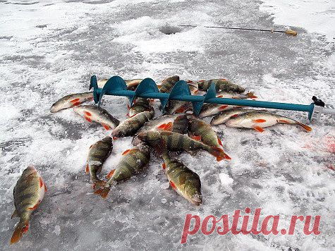 Заколдованная лунка