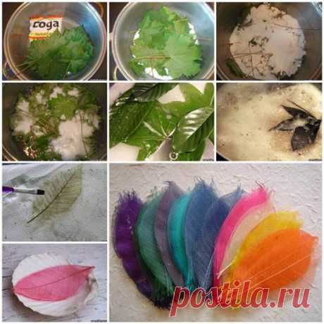 DIY Красочные листья скелета