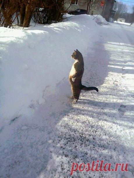 в ожидании...