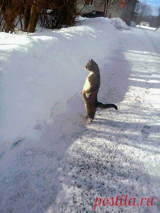 в ожидании...