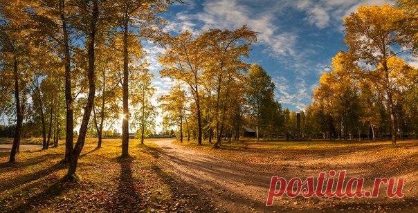Золотая осень в поселке Кулой, Архангельская область. Автор фото – Виталий Истомин: nat-geo.ru/photo/user/120628/